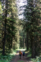 Hiking back along Fox Creek.