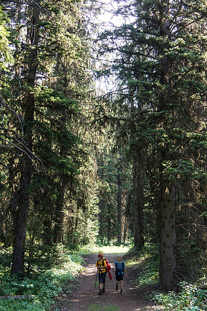 Hiking back along Fox Creek.