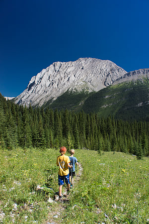 Hiking back along Petain Creek.