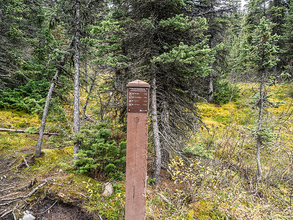 The trail branches to Police Meadows (L), running along the Simpson River and coming up from Porcupine Campground.