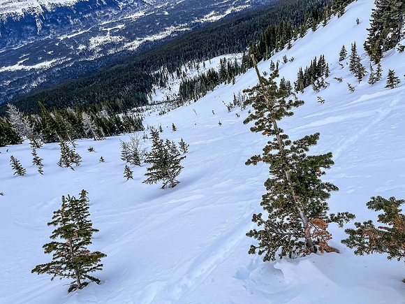 Views down the south avalanche path.