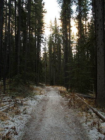 On the lower Rockbound Lake trail.