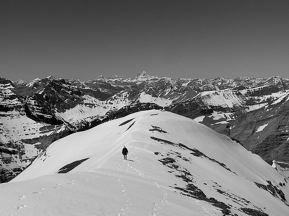 Sonny comes up to a snowy summit with Eon, Aye and the mighty Mount Assiniboine in the distant background.