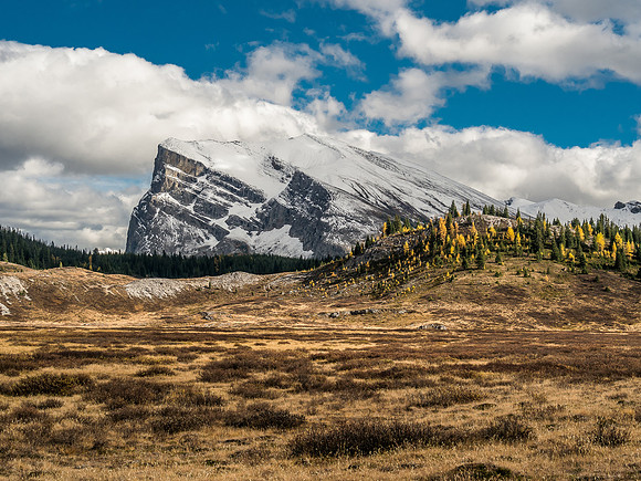 Great views ahead to Cascade Rock and Mount Cautley on the left, Ely's Dome and Wonder Peak at center and The Towers at right.