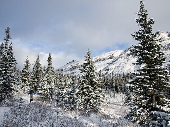 Approaching Tower Lake.