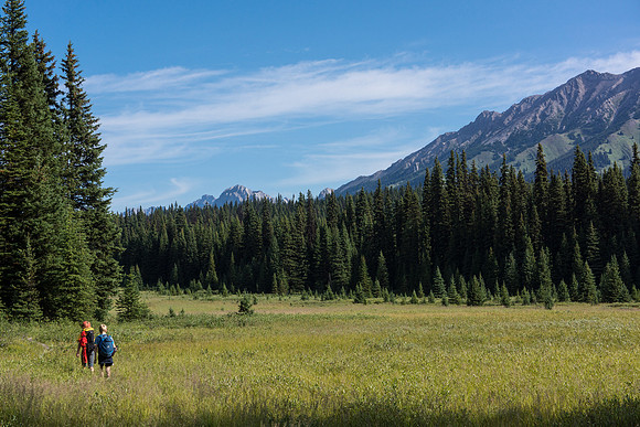 Hiking back up to Elk Pass.