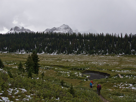 Sunshine Meadows at last. 3km to go.