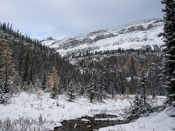 The trail between Tower and Rockbound Lake.