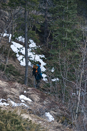 The trail on the way back down (from Grass Pass) is rather pleasant.