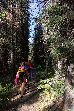 Hiking to the Lower Elk Lake from the ACC hut. The trails are excellent in the park.