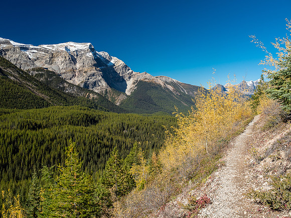 The highline traverse along the southwest slopes of Golden Mountain is just as nice as I remembered it from the approach.