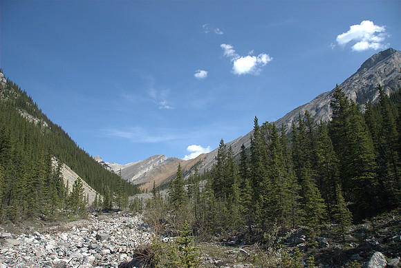 Now the real plod begins. We are about 3km 'up the creek' at this point. Morrowmount is in the far distance.