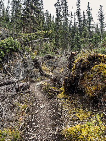 The trail through Golden Valley is very well maintained.