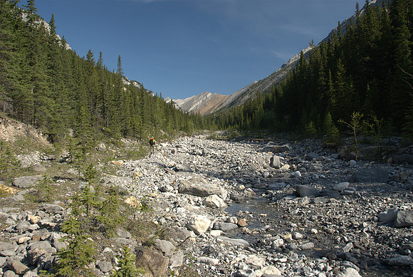 Now the real plod begins. We are about 3km 'up the creek' at this point. Morrowmount is in the far distance.