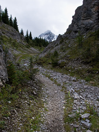 Through the gap.