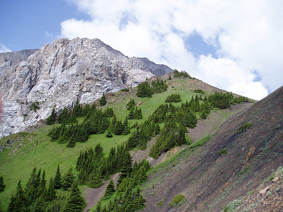 Getting above tree line the route becomes more obvious.