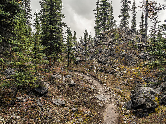 he trail stayed pretty solid even with the rain, thanks to a firm base and obviously very rocky terrain.